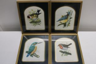 Four framed prints of various birds Shipping unavailable