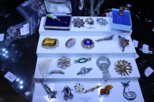 A job lot of assorted costume jewellery brooches and other jewellery