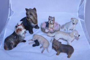 A assortment of collectable dog figurines