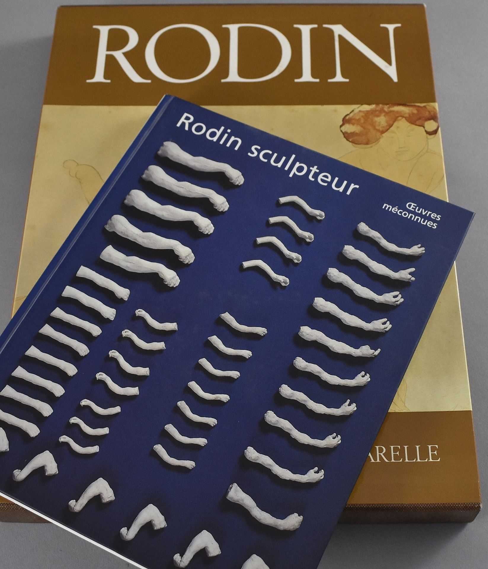 Rodin, Auguste. 100 Zeichnungen und Aquarelle.