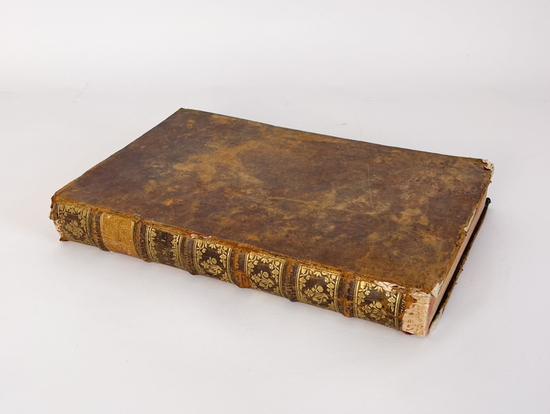 Barockes Buch " Institutiones Catholicae " Pouget Tom I.