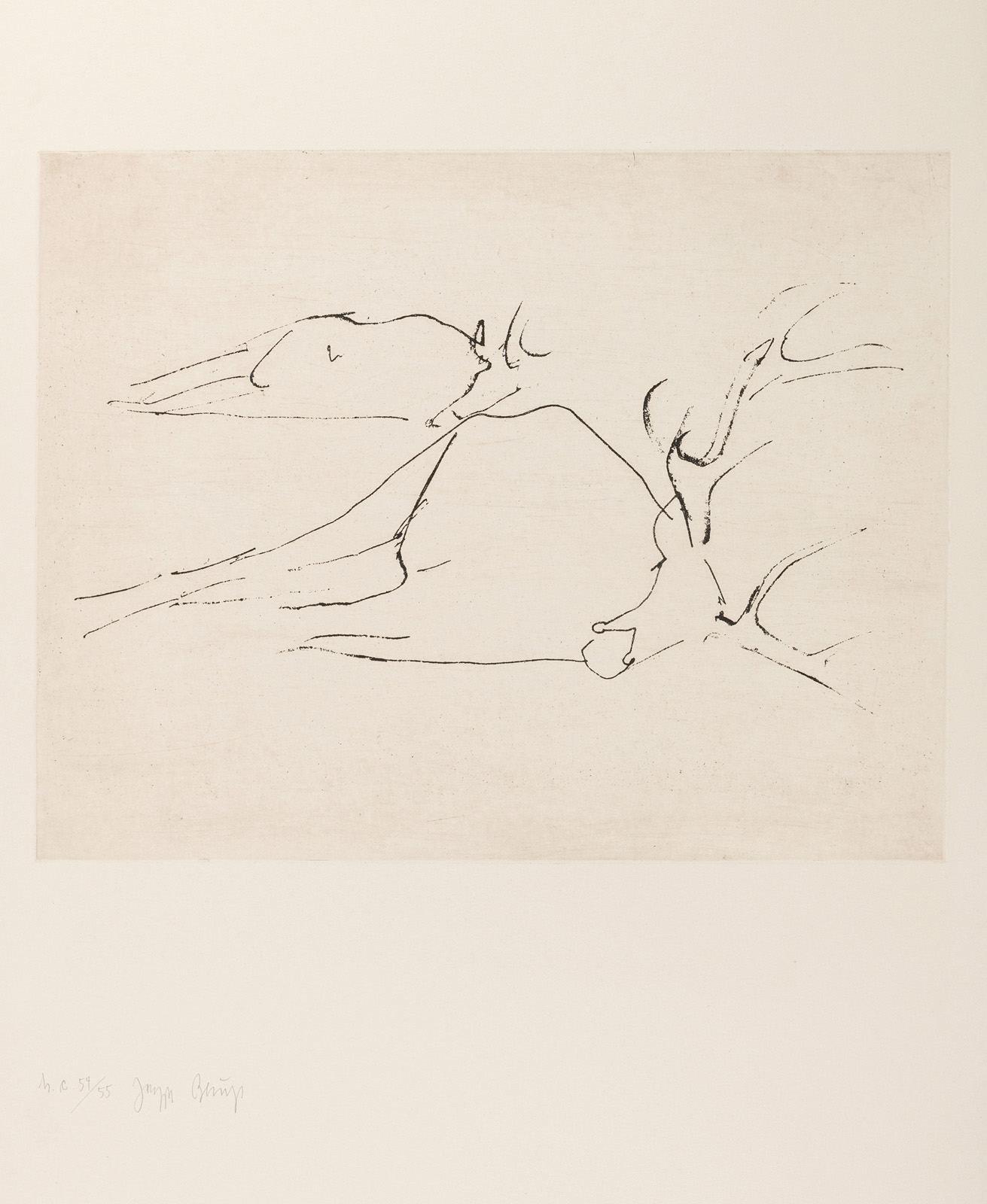 Beuys, Joseph