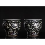 A LARGE PAIR OF BLACK-GROUND AND GOLD DECORATED PRUNUS CACHEPOTS WITH HANDLES
