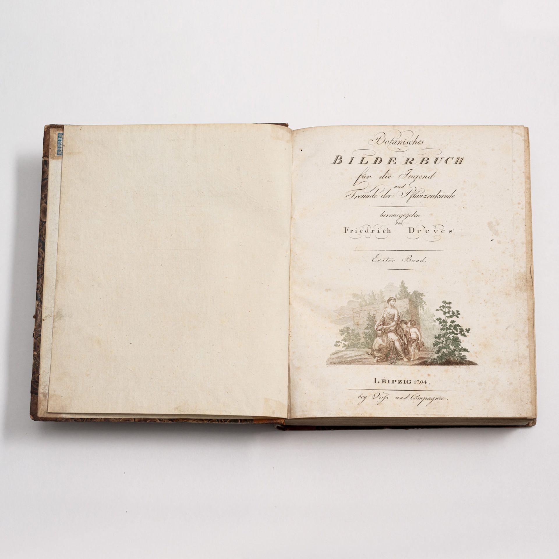 Dreves, F. Botanisches Bilderbuch