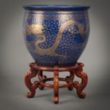 A LARGE PORCELAIN CACHEPOT/FISHBOWL WITH GOLDEN DRAGONS ON POWDERBLUE BACKGROUND ON THE OUTSIDE AND