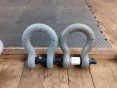 A pair of shackles