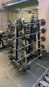 Technogym multi weight barbells and stand