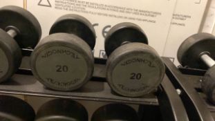 Technogym 20kg Dumbbell X2