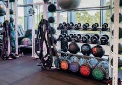 Surplus Assets Direct From A Premium Gym - Low Reserves - To Include Technogym, Precor, Stairmaster, Life Fitness Plus Much More!!!!