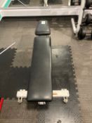 Life Fitness Adjustable Bench