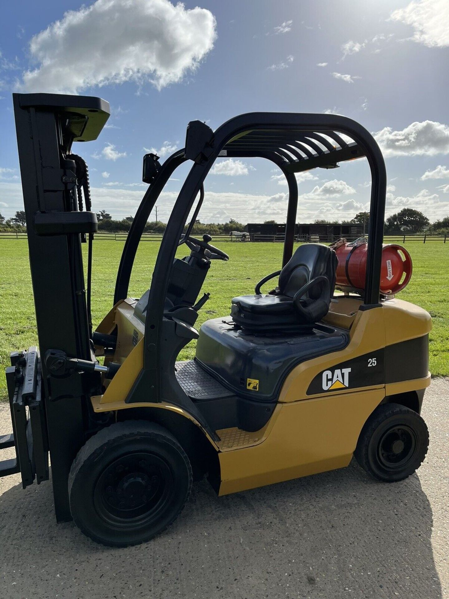 Caterpillar 2.5 Tonne Gas Forklift Container Spec - Image 2 of 5