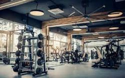 Assets Direct From Premium Gym - Due To Upgrade - To Include Treadmill, Stairmaster, Cross Trainer, Spin Bike, Weights & Much More!!!!