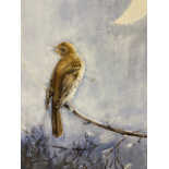 Eileen Alice Soper (1905 - 1990) Watercolour "Nightingale" Chris Beetles label verso