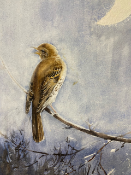 Eileen Alice Soper (1905 - 1990) Watercolour "Nightingale" Chris Beetles label verso