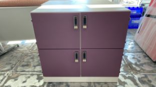 Purple Locker Unit