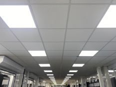 Large Quantity of Ceiling Tiles