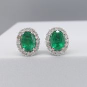 Pair of 18ct white gold oval emerald and diamond cluster ear studs, boxed