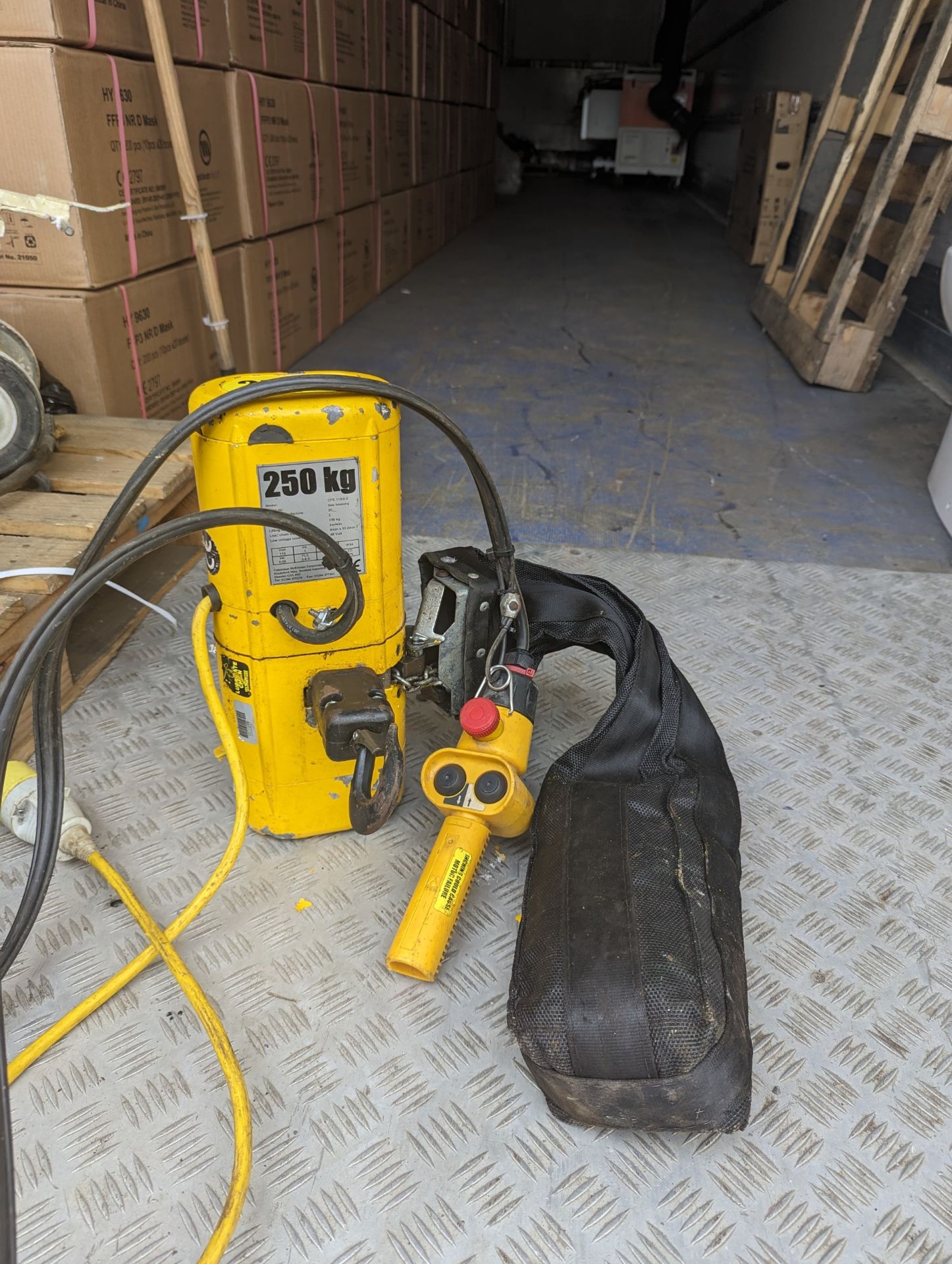 250kg, 110v Electric Hoist