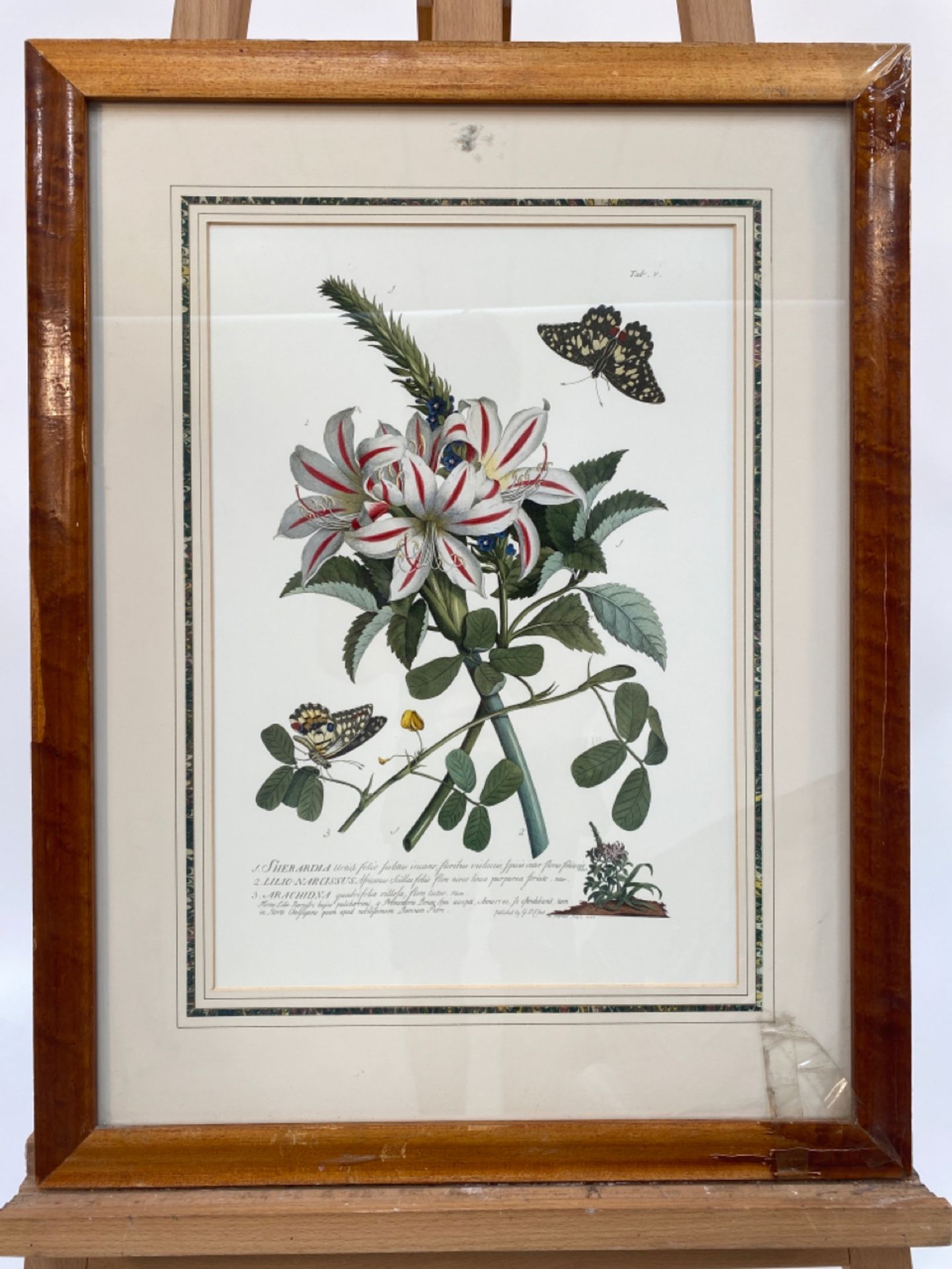 Mixed Set of Botanical Prints - Image 10 of 20