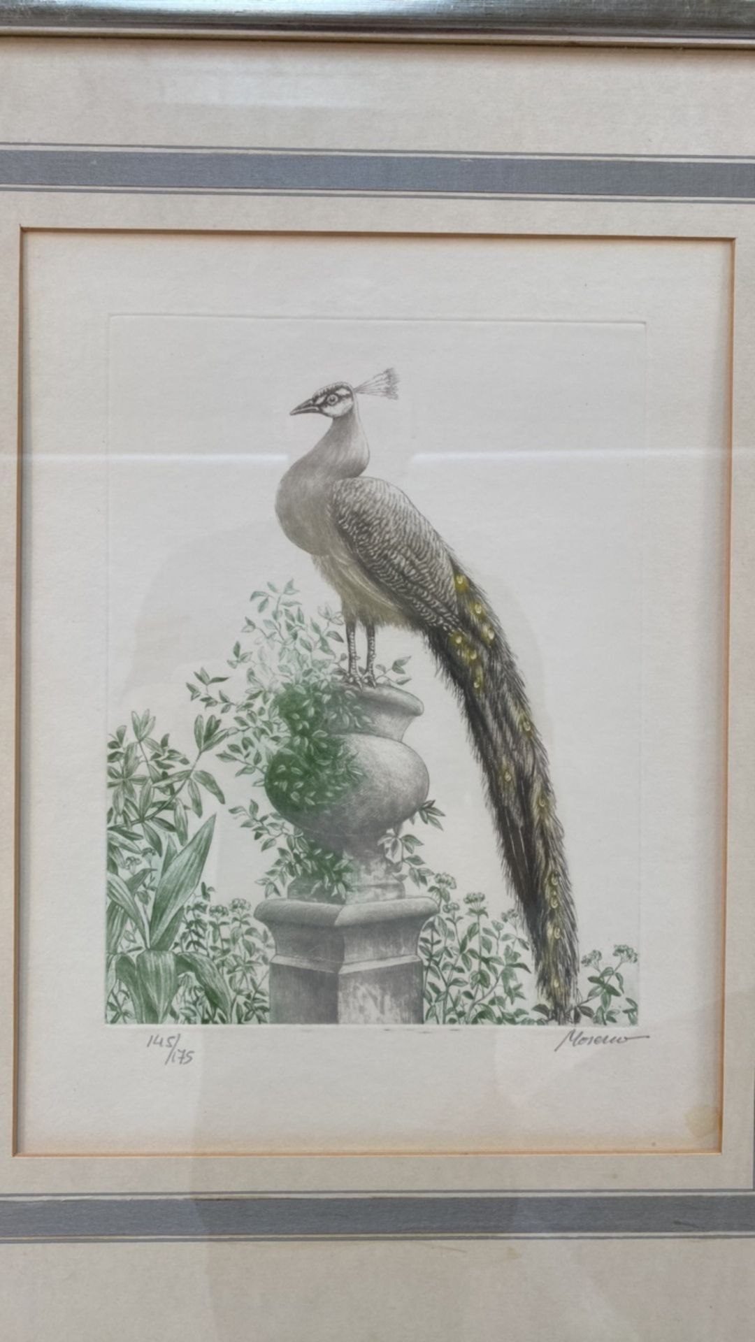 Mixed Set of Bird Illustrations - Image 7 of 10