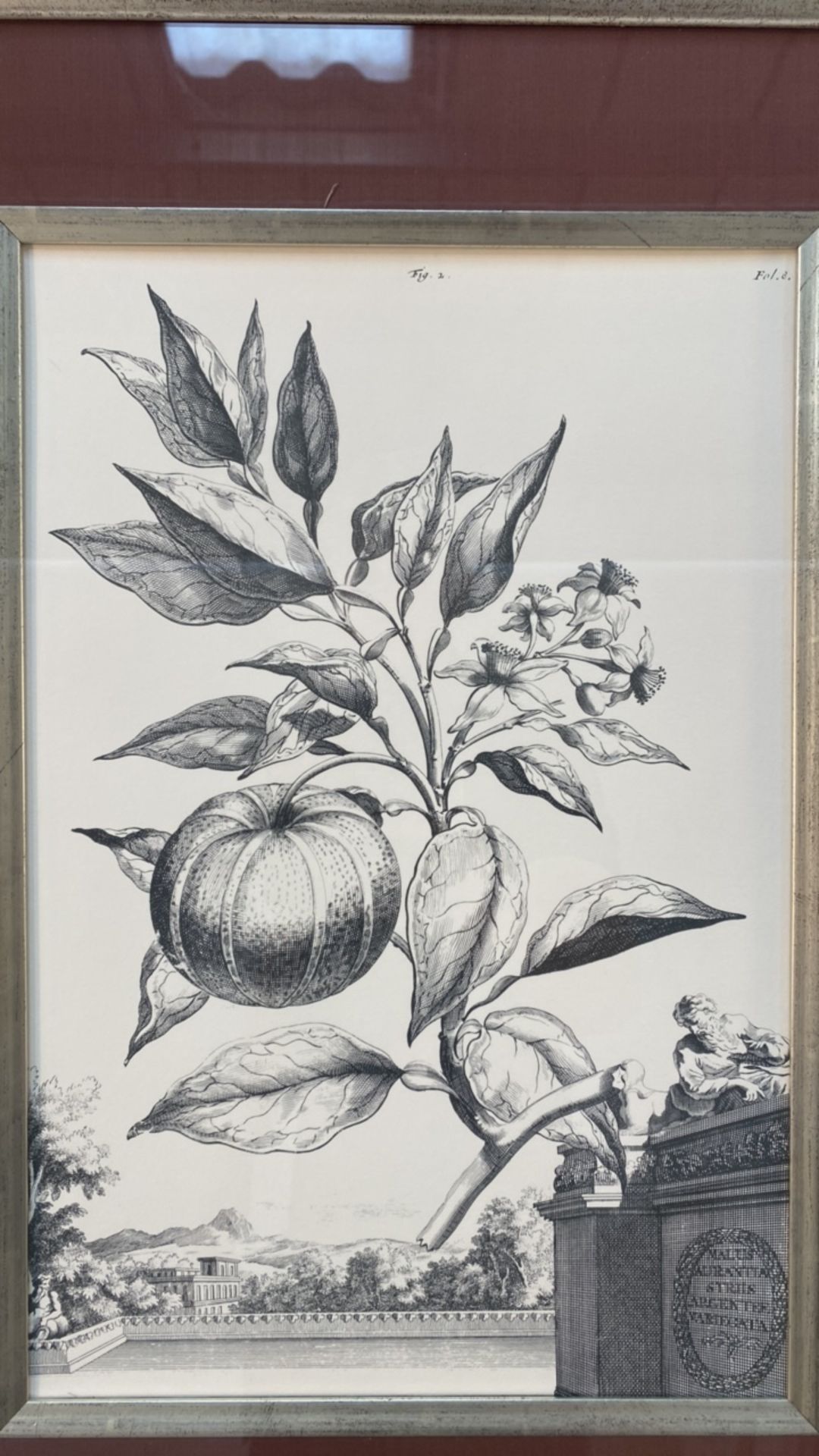 Set of 3 Botanical Black and White Lithography - Bild 8 aus 10