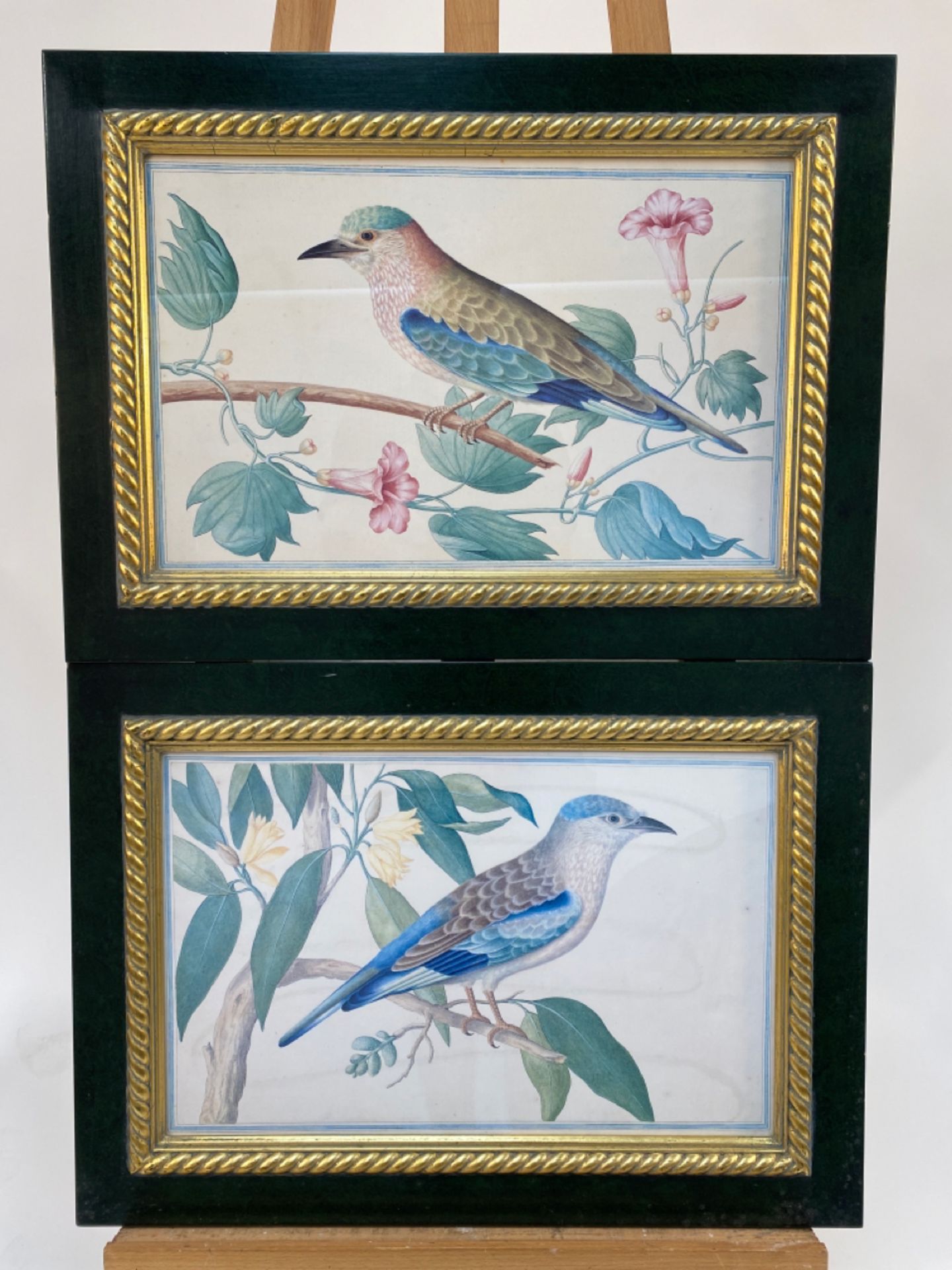 Set of 3 Bird Illustrations - Image 4 of 7