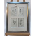 Set of 3 Botanical Black and White Lithography