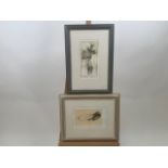 Set of 4 Nude Art Prints