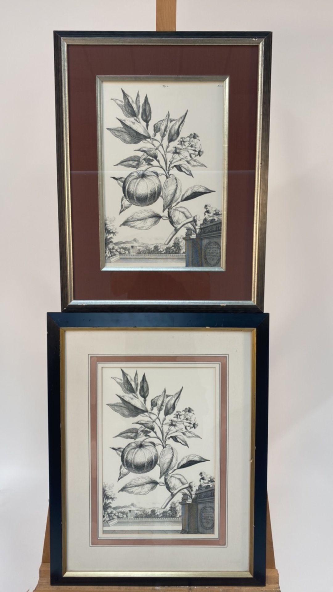 Set of 3 Botanical Black and White Lithography - Bild 7 aus 10