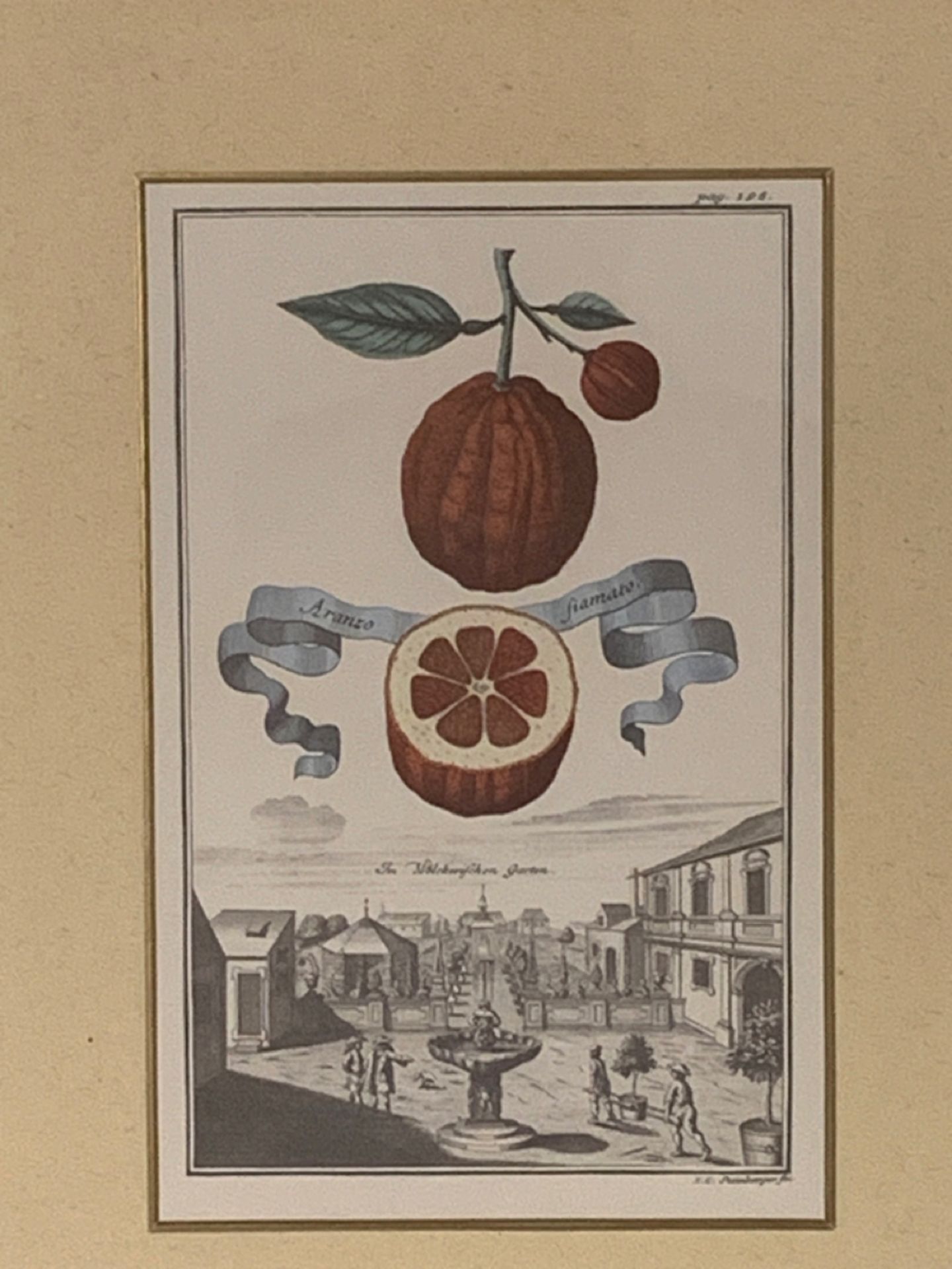 Set of 4 Botanique Theme Prints - Image 2 of 6