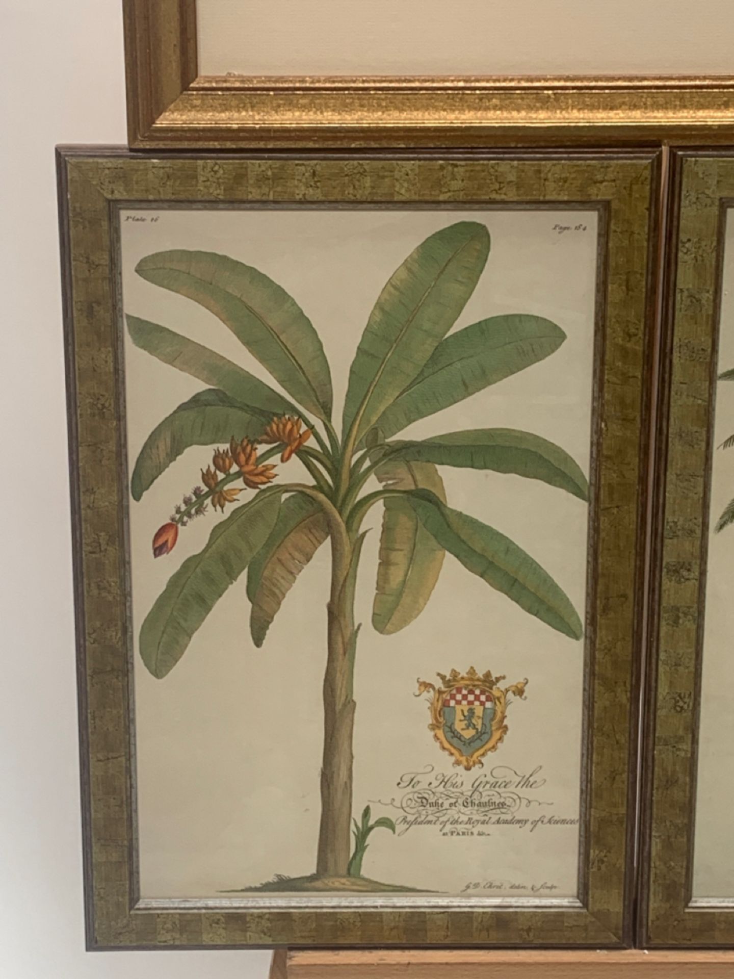 Set of 3 Botanical Prints - Image 3 of 5