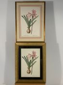 Set of 5 Botanique Themed Prints