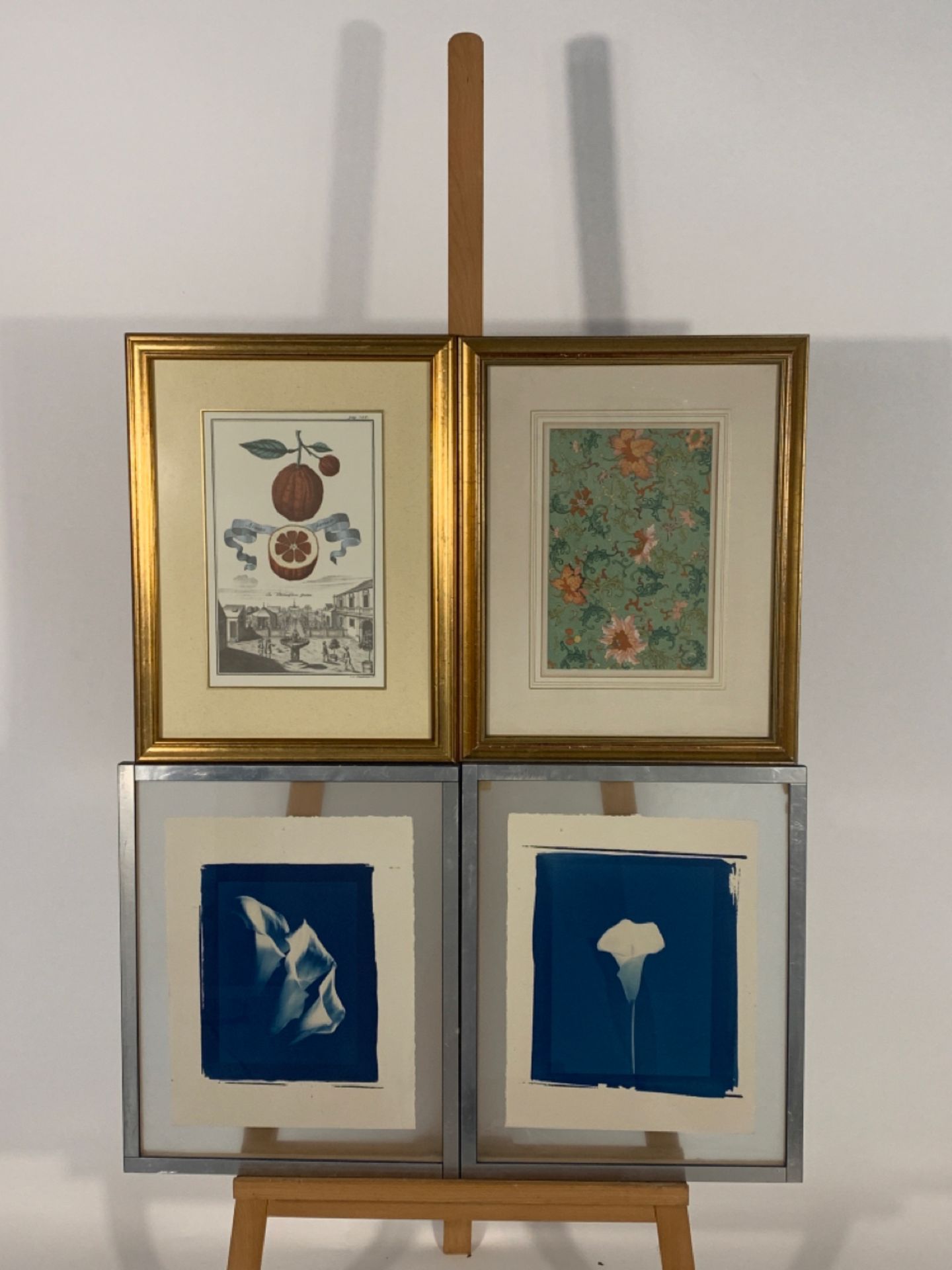 Set of 4 Botanique Theme Prints