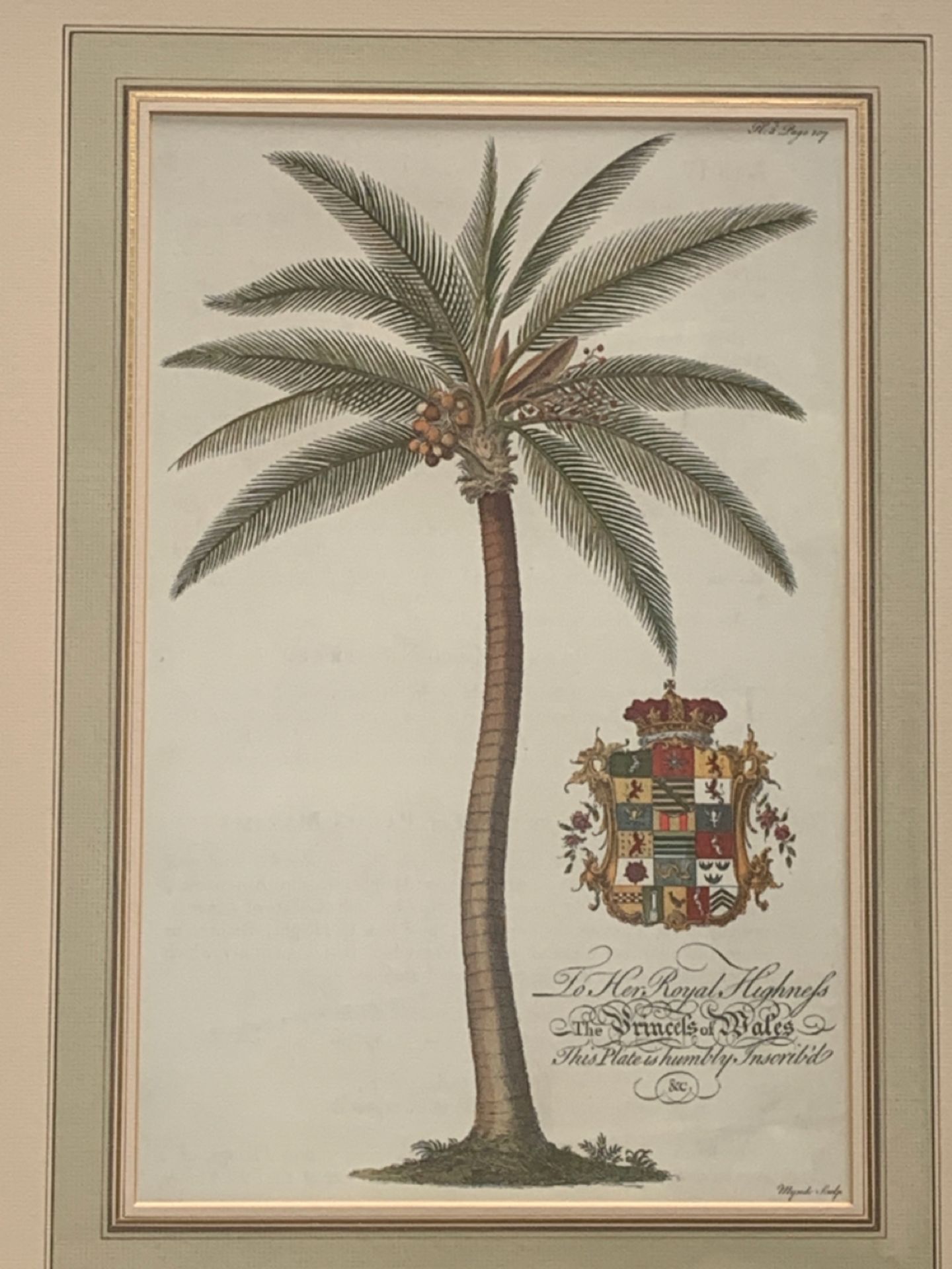 Set of 3 Botanical Prints - Image 4 of 5