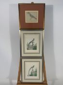 Set of 4 Bird Themed Prints