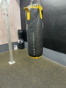 Everlast Punch Bag