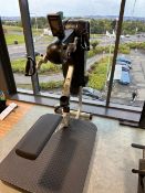 Stair Master Top Cross/Hand Bike