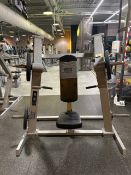 Everlast Chest Press