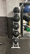 Various Medicine Balls including stand