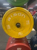 Bison 15kg Weight Plate X2