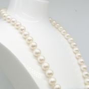Freshwater cultured pearl necklace with yellow gold ball clasp.
