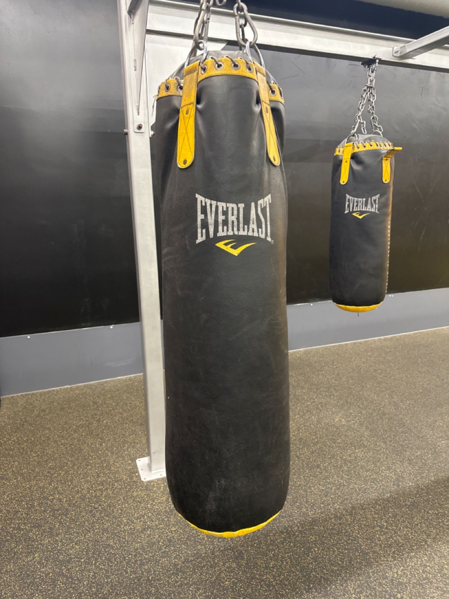 Everlast Punch Bag