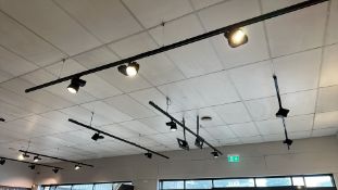 4 bays of retail lighting
