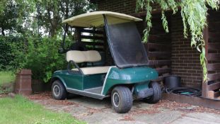 Electric Golf Buggy
