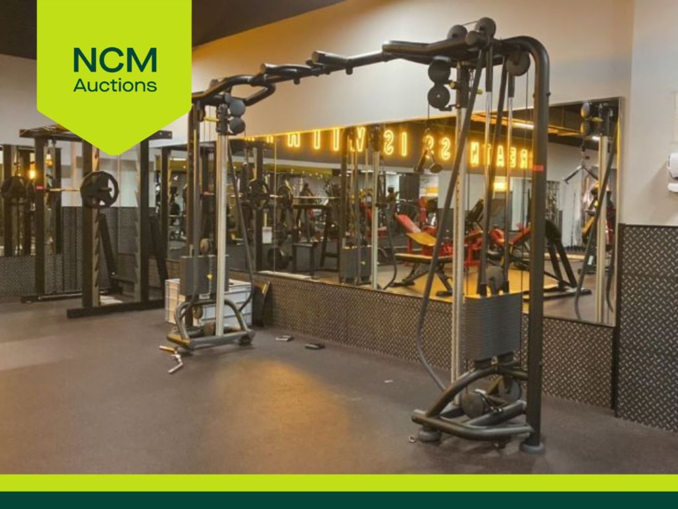 Contents of Premium Gym, Due to Upgrading of Equipment - Commercial Gym Equipment And Much More