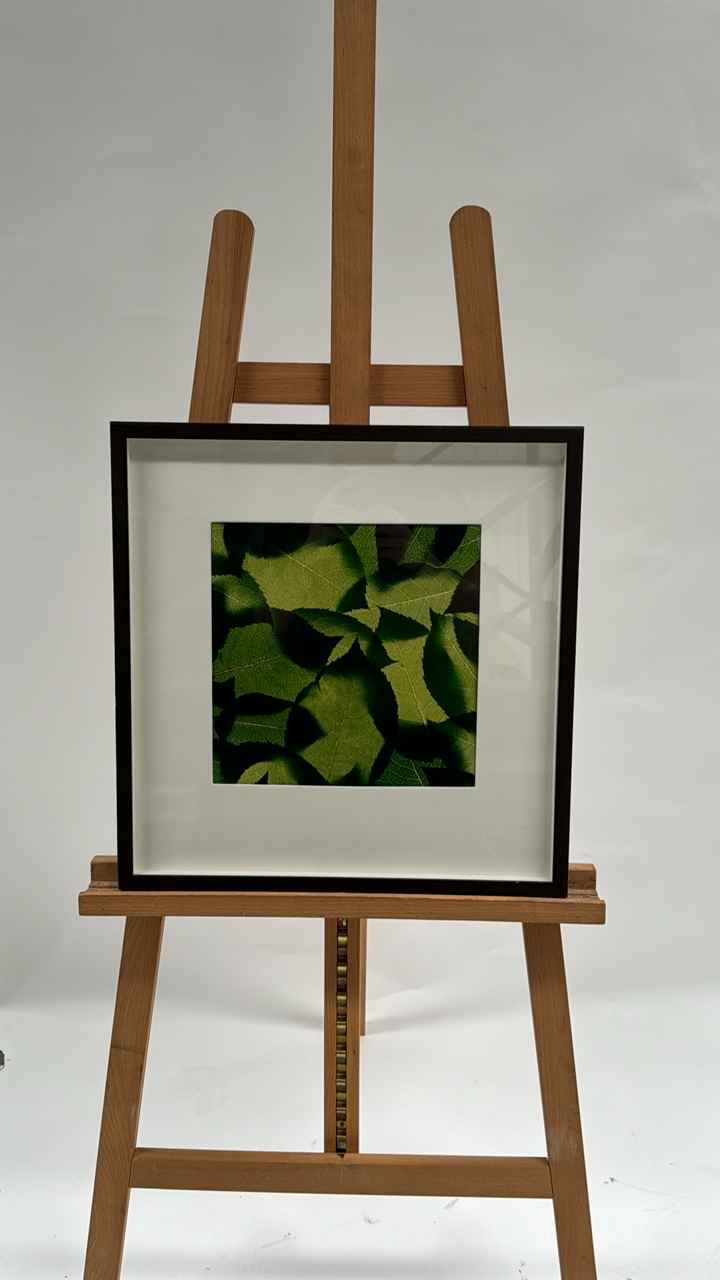 Artwork Print Leaves