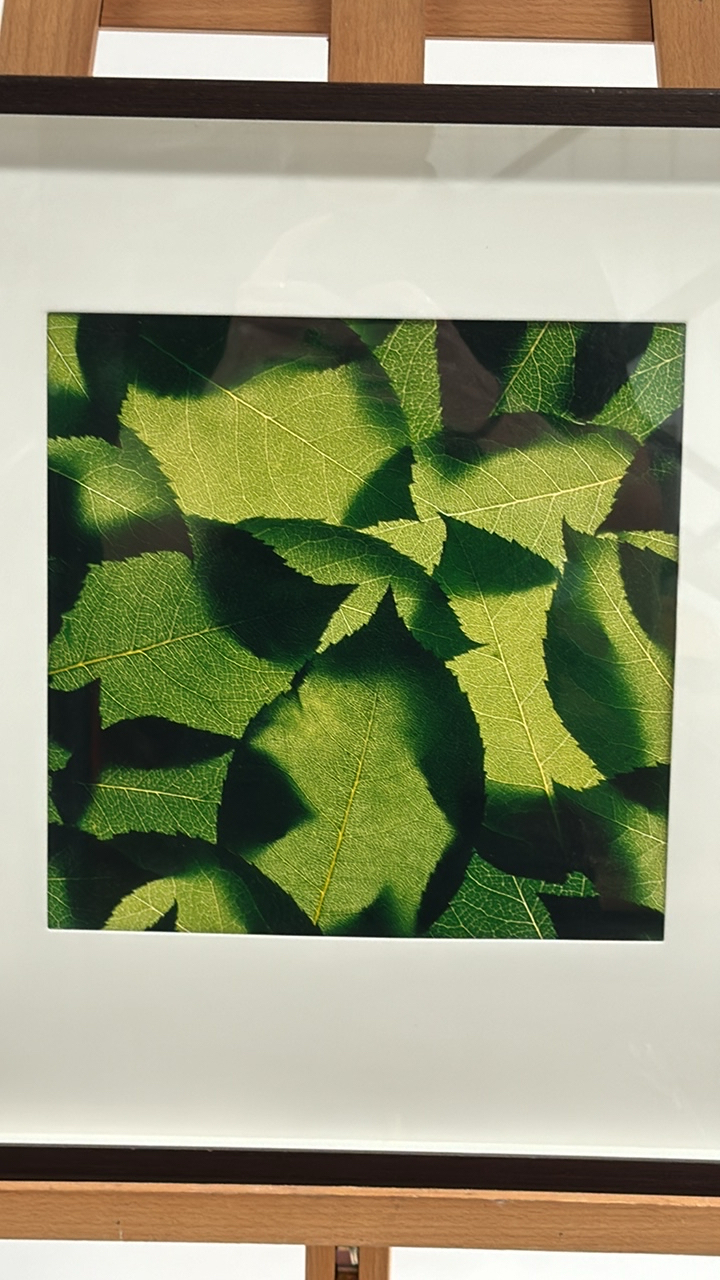 Artwork Print Leaves - Image 3 of 3