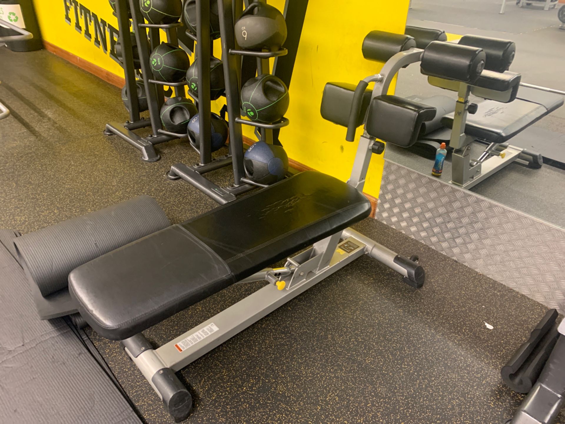 Everlast Abdominal Bench