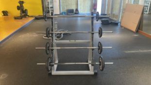 Technogym Bars and stand