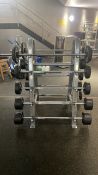 Barbell stand with barbells